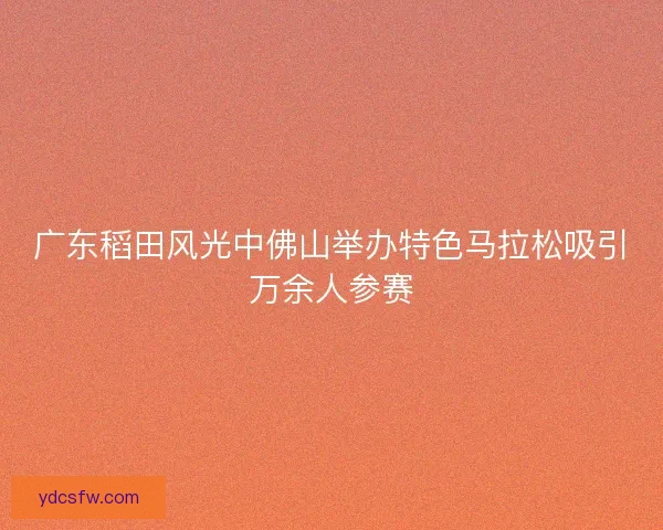 广东稻田风光中佛山举办特色马拉松吸引万余人参赛